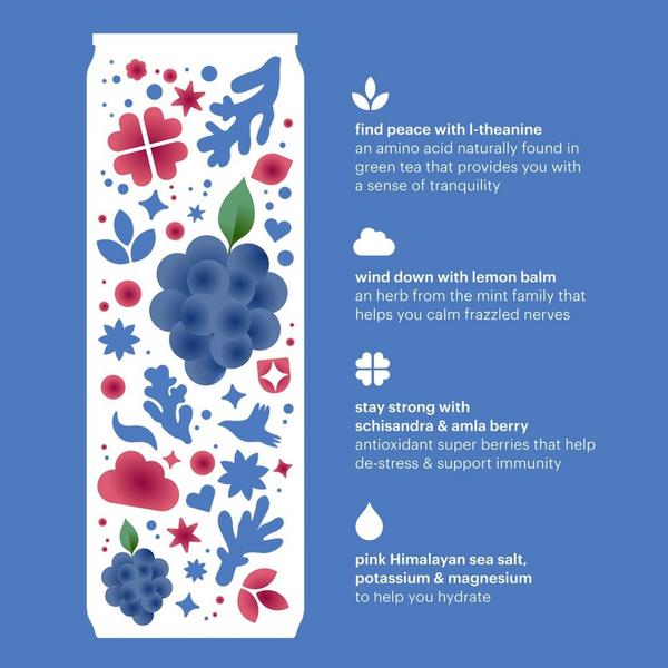 Heywell Calm + Restore Sparkling Blackberry Ginger 12-Pack #5