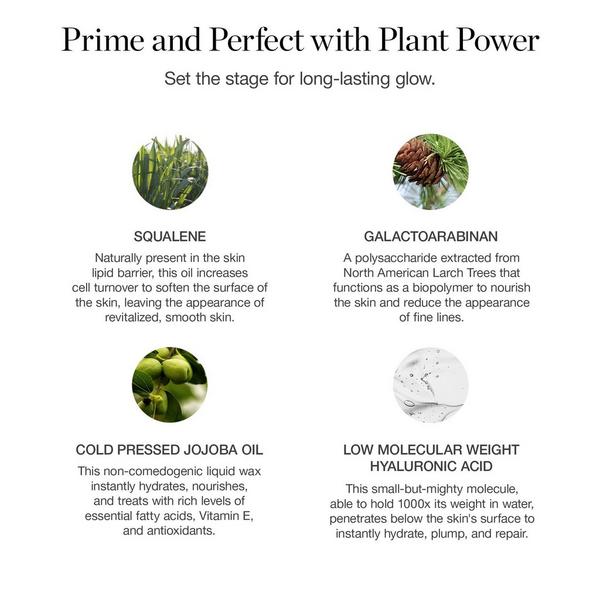 Ogee Activated Botanical Primer #7