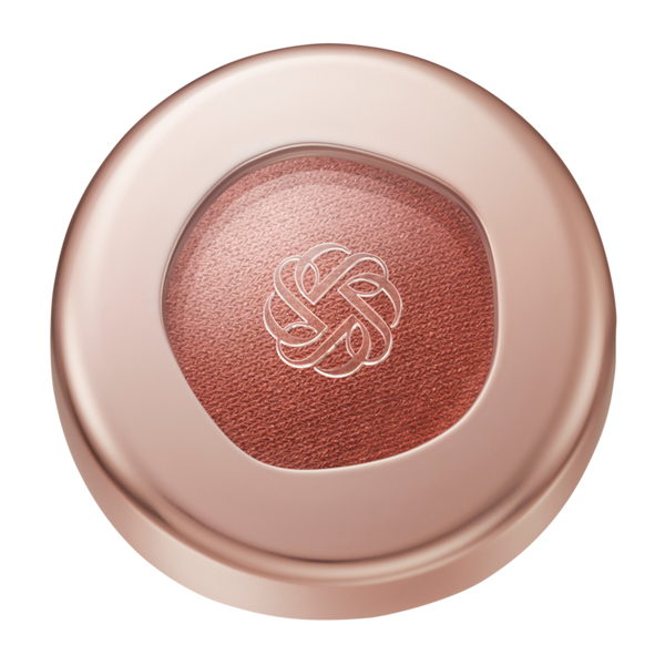 Decorté Eye Glow Gem Skin Shadow Silky Matte #1