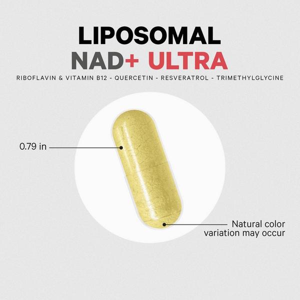 CODEAGE Liposomal NAD+ Ultra with Resveratrol, Quercetin & B Vitamins #6