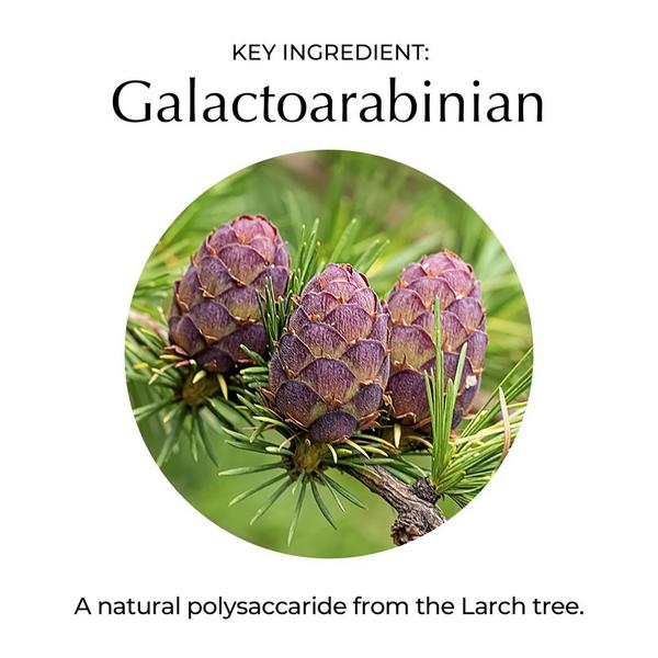 NassifMD Skincare Pure Hydration Night Cream #5