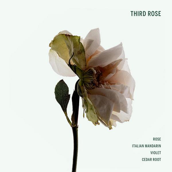 CORPUS Third Rose Deodorant Stick #3