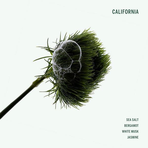 CORPUS California Deodorant Stick #3