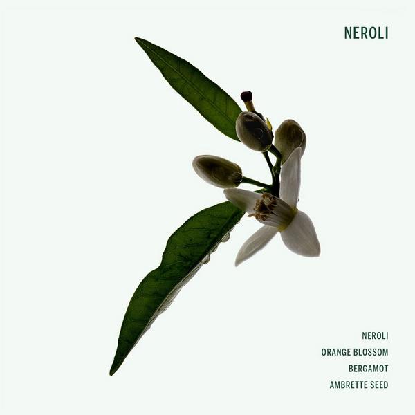 CORPUS Neroli Deodorant Stick #3