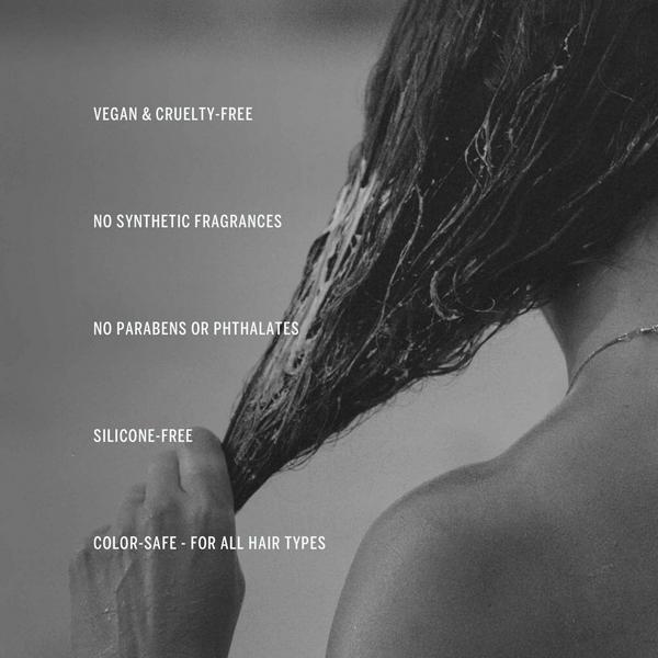 CORPUS Cypress Conditioner #6