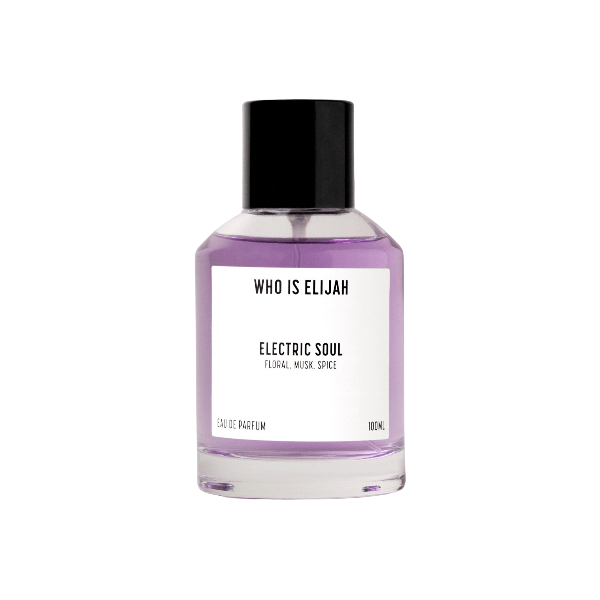 Who Is Elijah Electric Soul #1