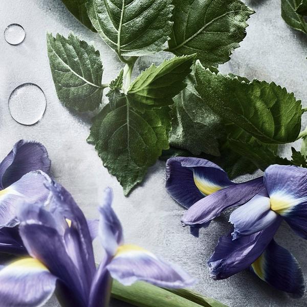 Decorté Kimono Kihin Perfumed Hand Cream #3