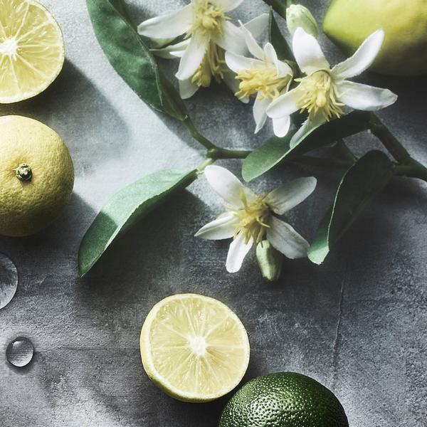 Decorté Kimono Yui Perfumed Hand Cream #3