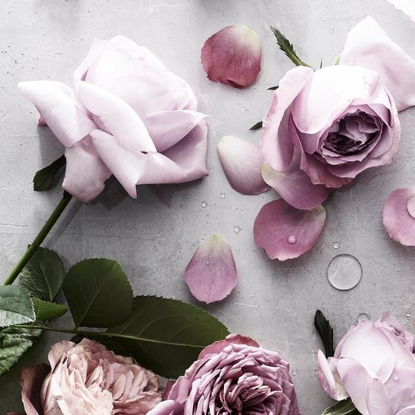 Decorté Kimono Tsuya Perfumed Hand Cream #2