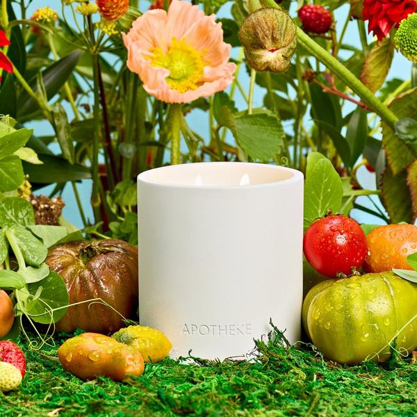 APOTHEKE Tomato Tarragon Specialty 2-Wick Scented Concrete Candle #4