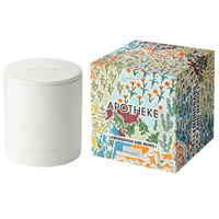 Lemongrass and Neroli Specialty 2-Wick Scented Concrete Candle