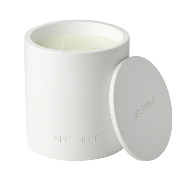 APOTHEKE Lemongrass and Neroli Specialty 2-Wick Scented Concrete Candle #2
