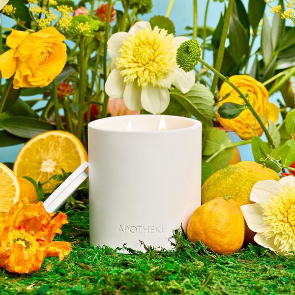 APOTHEKE Lemongrass and Neroli Specialty 2-Wick Scented Concrete Candle #4