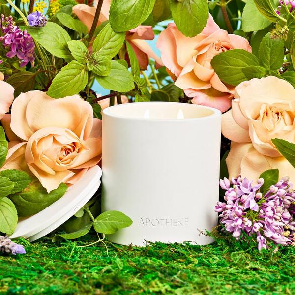 APOTHEKE Holy Basil and Rosewater Specialty 2-Wick Scented Concrete Candle #4