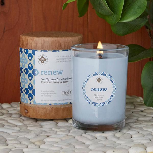 Root Candles Seeking Balance Renew - Seaside Cypress & Cedar Leaf Aromatherapy Candle #2