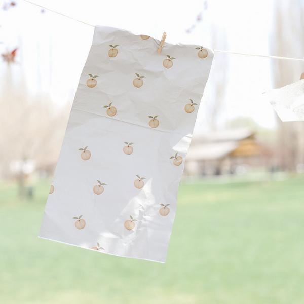 House of Foils House of Southern Peach #3