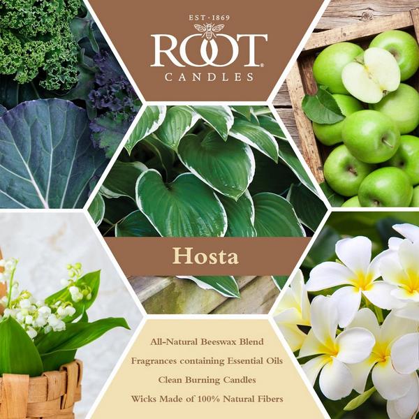 Root Candles Legacy Collection Luxury Scented Candle - Hosta #4