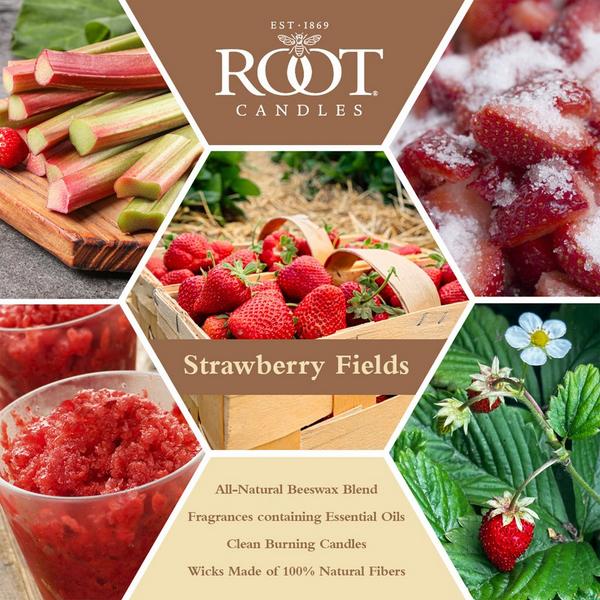 Root Candles Legacy Collection Luxury Scented Candle - Strawberry Fields #4