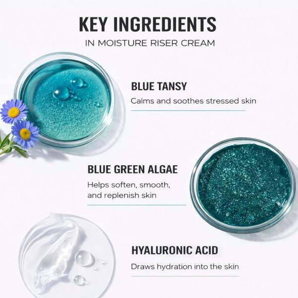 NOTO Botanics Moisture Riser Cream #6