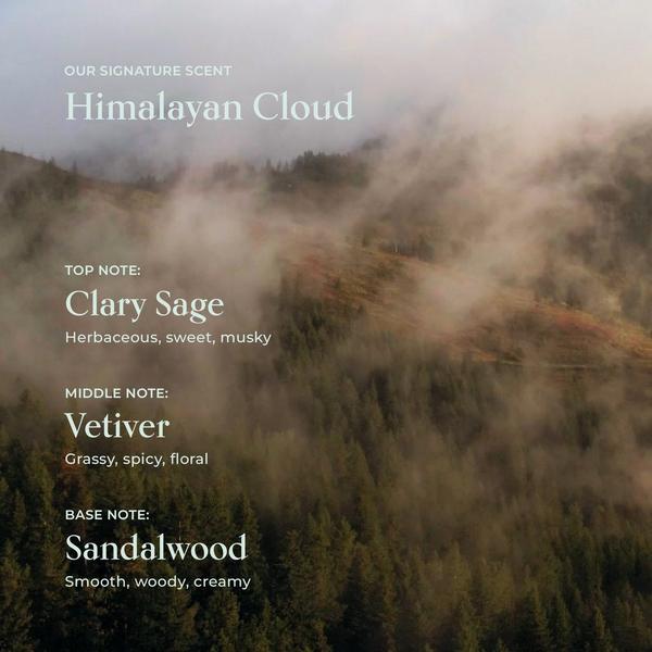 SHAZ & KIKS Nourishing Naram Conditioner #7