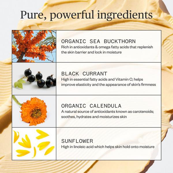 Ursa Major Golden Hour Recovery Cream #4