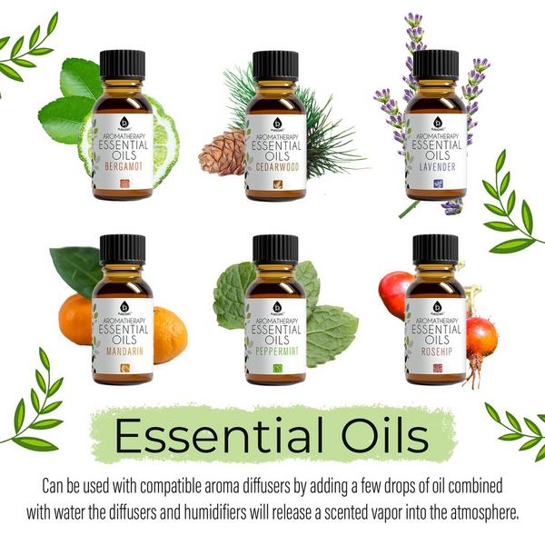PURSONIC Aromatherapy Essential Oils Gift Set #3