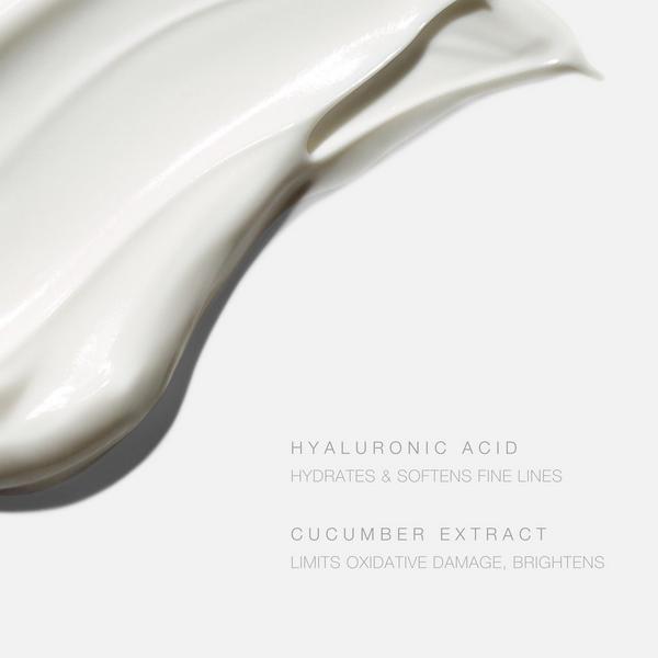 Hampton Sun SPF 45 Wrinkle Control Face Cream #6