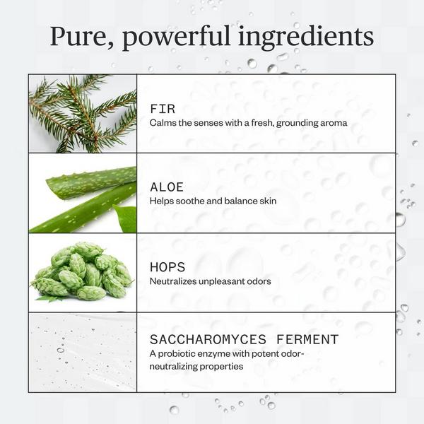 Ursa Major Forest Fix Spray Deodorant #4