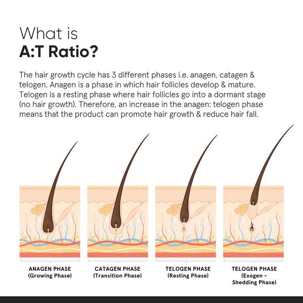 Minimalist Hair Growth Actives 18% Hair Serum #6