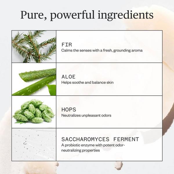 Ursa Major Forest Fix Deodorant #4