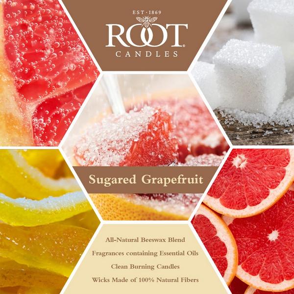 Root Candles Legacy Collection Luxury Scented Candle- Sugared Grapefruit #3