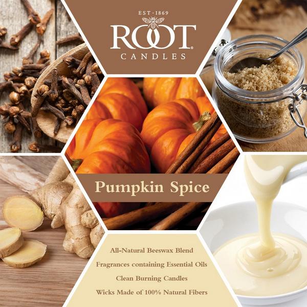Root Candles Legacy Collection Luxury Scented Candle - Pumpkin Spice #3