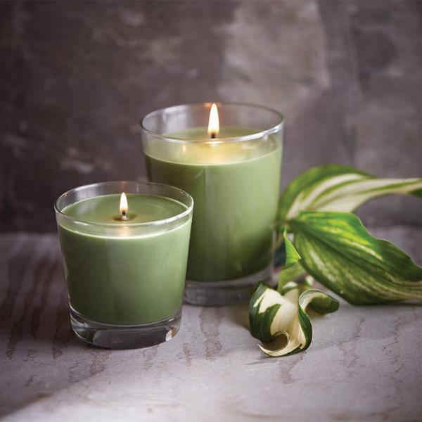 Root Candles Legacy Collection Luxury Scented Candle - Hosta #2