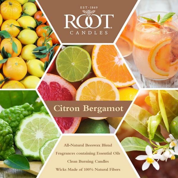 Root Candles Legacy Collection Luxury Scented Candle - Citron & Bergamot #3