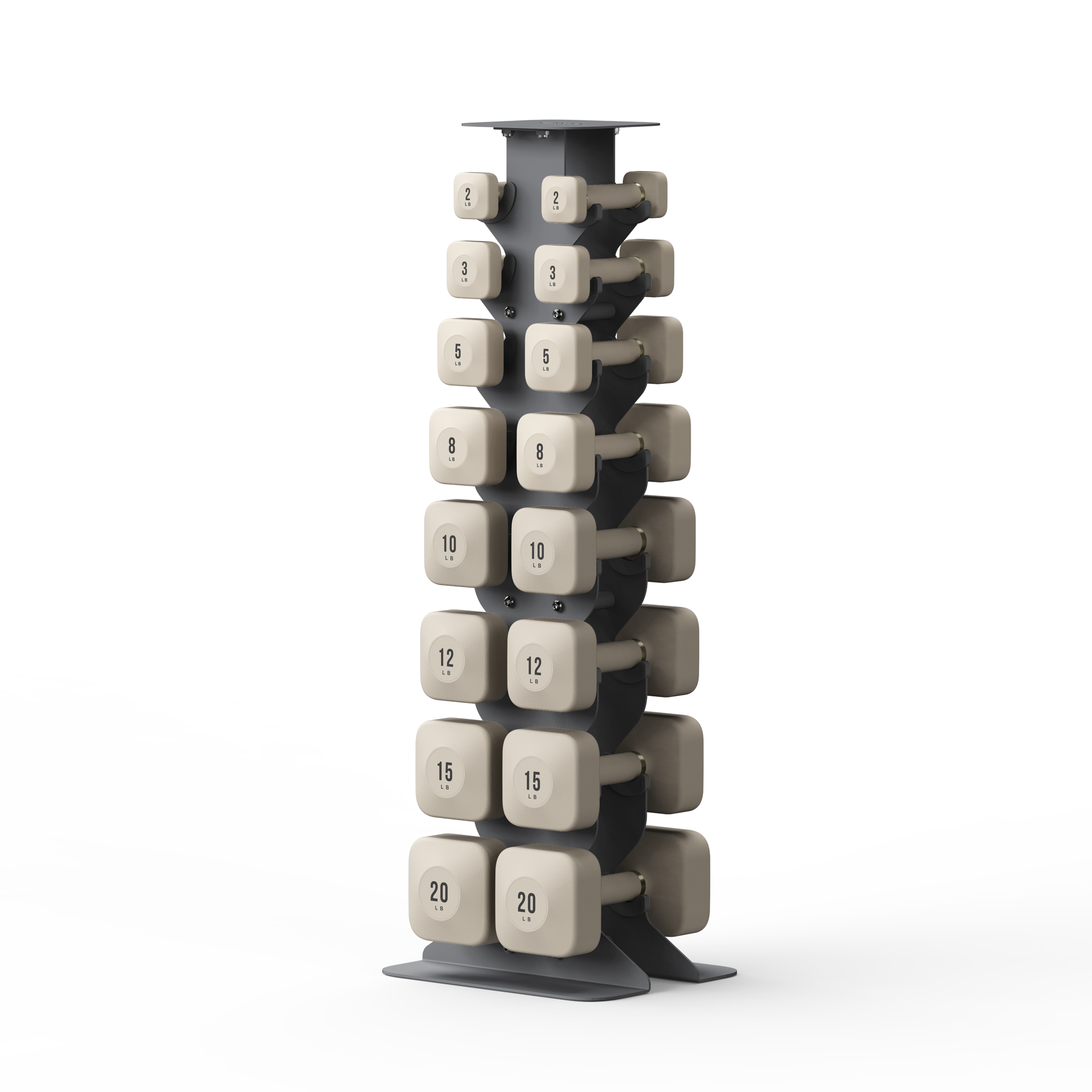 WeGym ProGrip Dumbbells Lower Set with Dark Rack #1