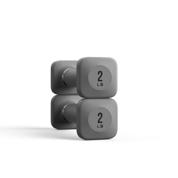 WeGym ProGrip Dumbbells - Slate #1