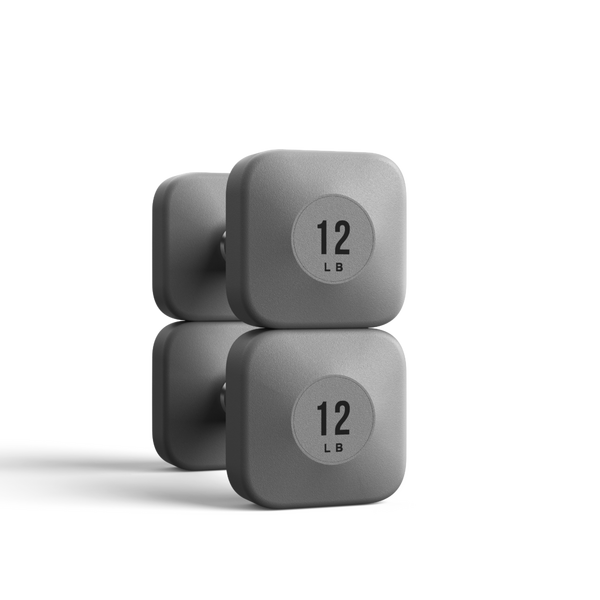 WeGym ProGrip Dumbbells - Slate #1