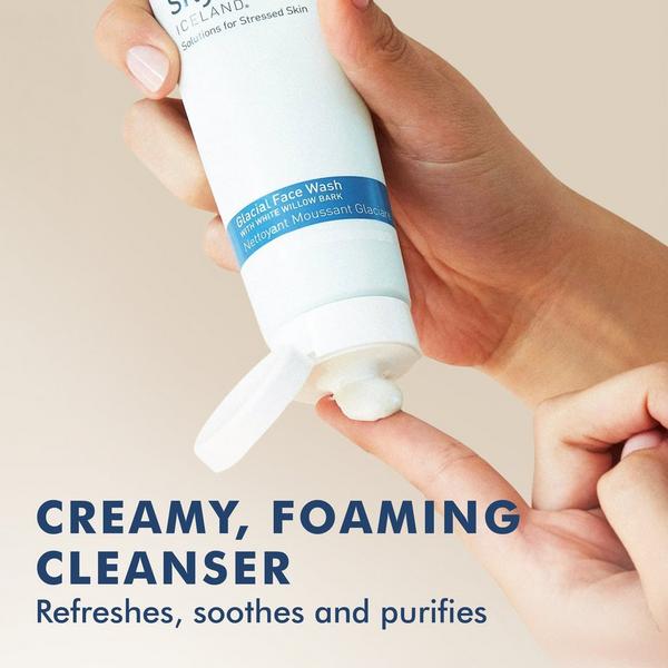 Skyn Iceland Glacial Face Wash with Willow Bark #2