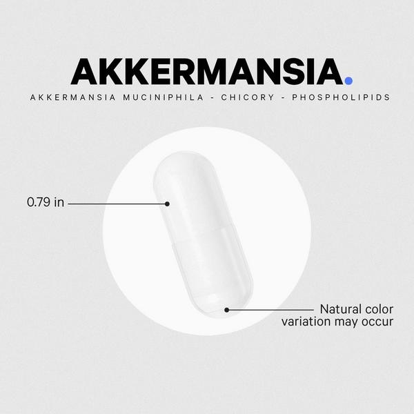 CODEAGE Akkermansia Probiotic with Chicory Inulin #6