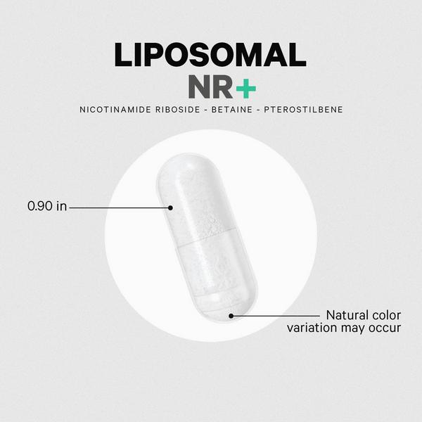 CODEAGE Liposomal Nicotinamide Riboside with Betaine & Pterostilbene #6