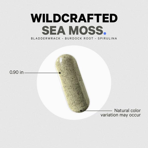 CODEAGE Raw Wildcrafted Irish Sea Moss with Burdock & Spirulina #6