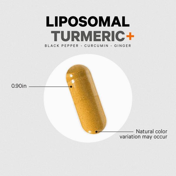 CODEAGE Liposomal Turmeric with Organic Fermented Botanicals #6