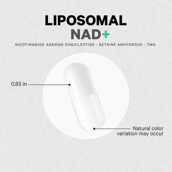 CODEAGE Liposomal NAD+ with Betaine Anhydrous #6