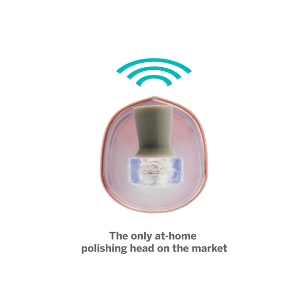 Supersmile Zina45 Sonic Pulse Toothbrush Replacement Polishing Head #6