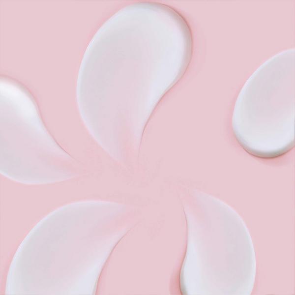 Face Republic Blooming Time Bakuchiol Cream #5