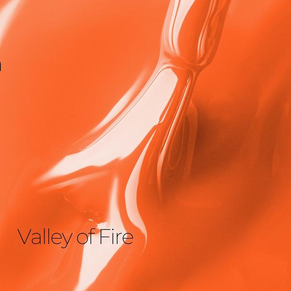 PLA Beauty Lacquer Nail Polish #2