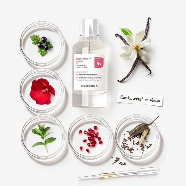 OLFACTORY X Blackcurrant + Vanilla Eau de Parfum #5