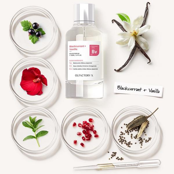 OLFACTORY X Blackcurrant + Vanilla Eau de Parfum #7