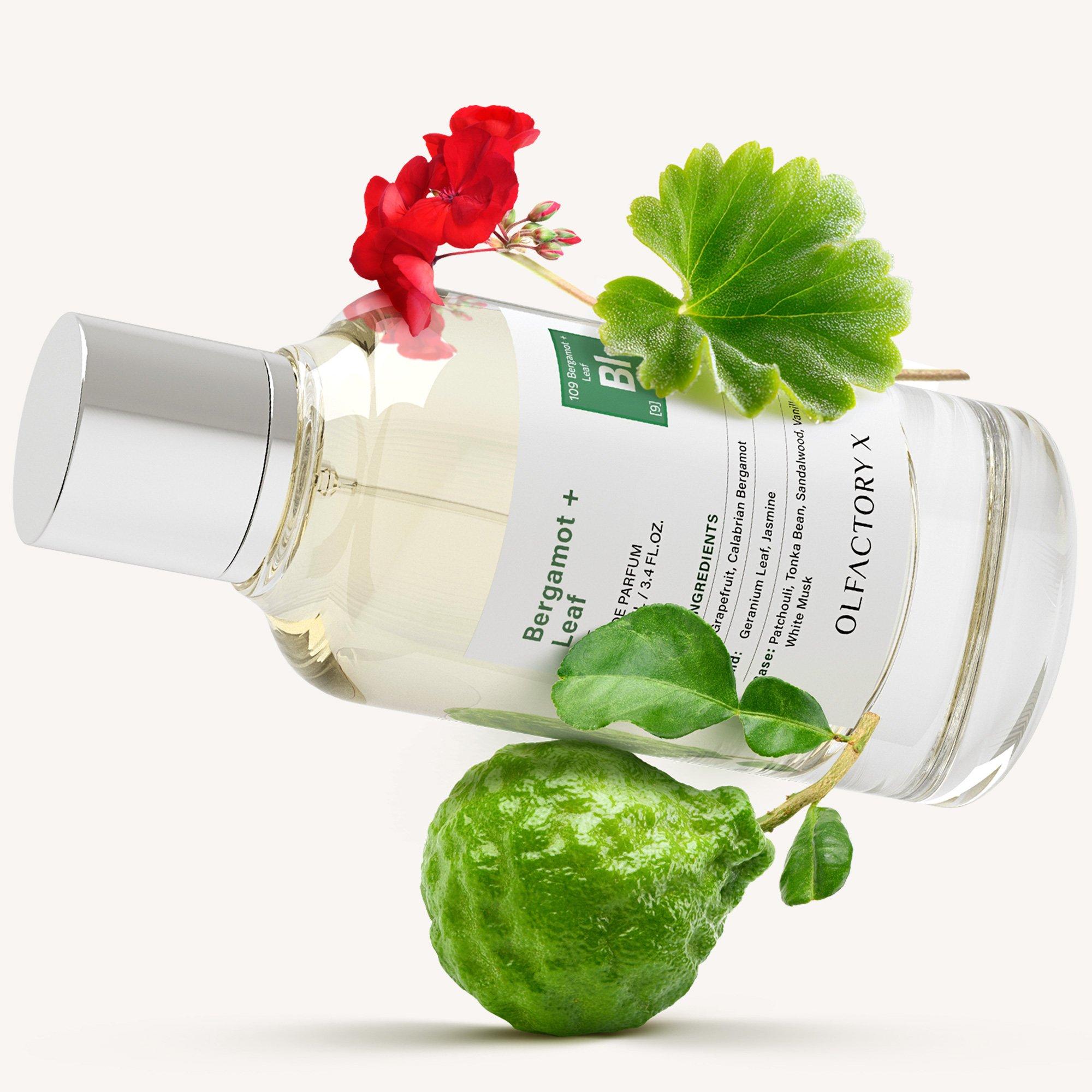 OLFACTORY X Bergamot + Leaf Eau de Parfum - Thumbnail 5