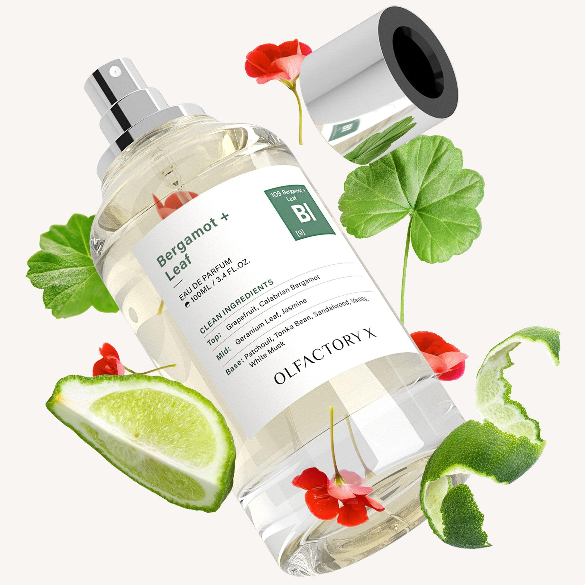OLFACTORY X Bergamot + Leaf Eau de Parfum - Thumbnail 2